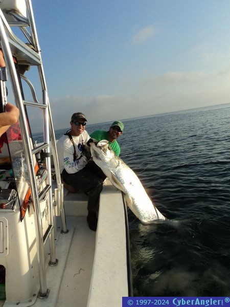 Trent_Tarpon_03-26-11_008