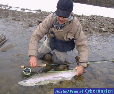 Skeena River Steelhead  http://www.noelgyger.ca