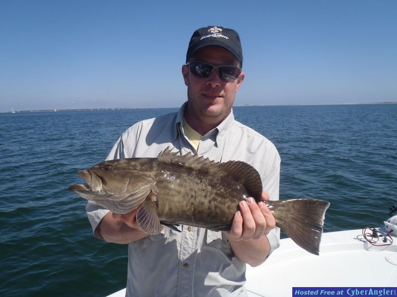 Jugging for catfish  Pensacola Fishing Forum