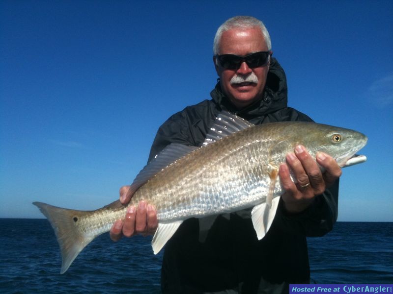 trout_469