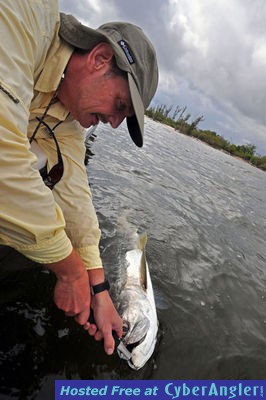 Click to Enlarge Photo