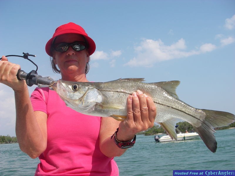 Naples Tarponsnook