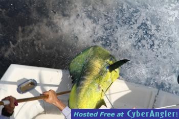 Click to Enlarge Photo