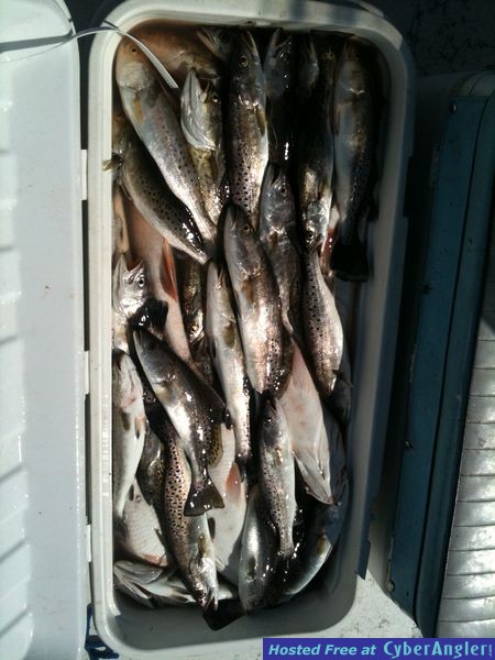 New Orleans Fishing With Excellence!