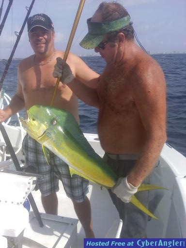 mahi mahi