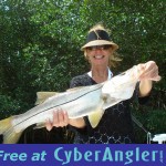 Tampa Bay Fishing Snook