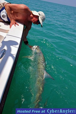 Click to Enlarge Photo