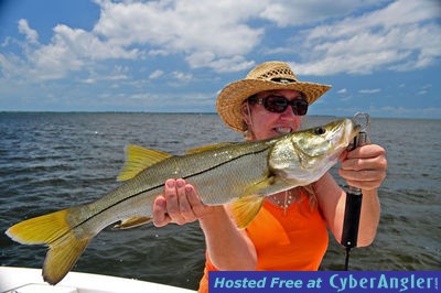 Click to Enlarge Photo