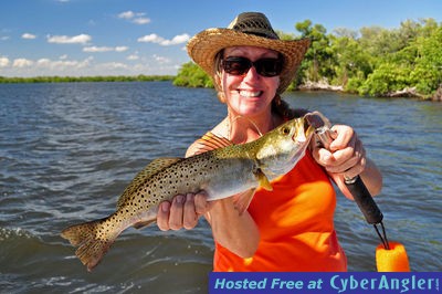 Click to Enlarge Photo