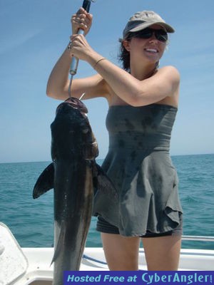 cobia