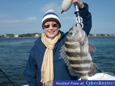 sheepshead