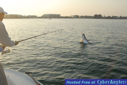 Click to Enlarge Photo