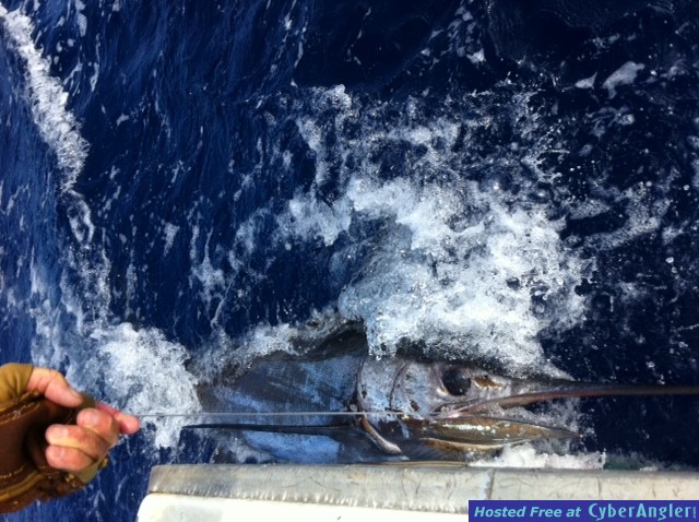 Sea Strike sportfishing Kona, Hawaii