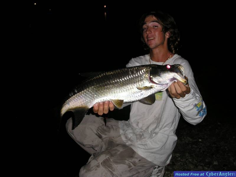shorebound_tarpon