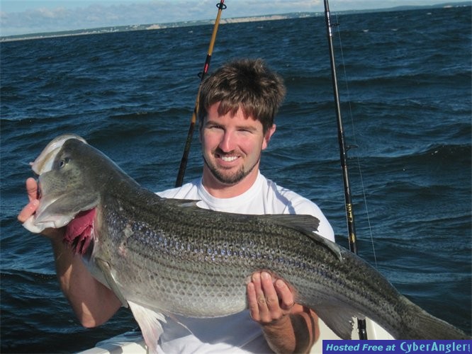 big_bass