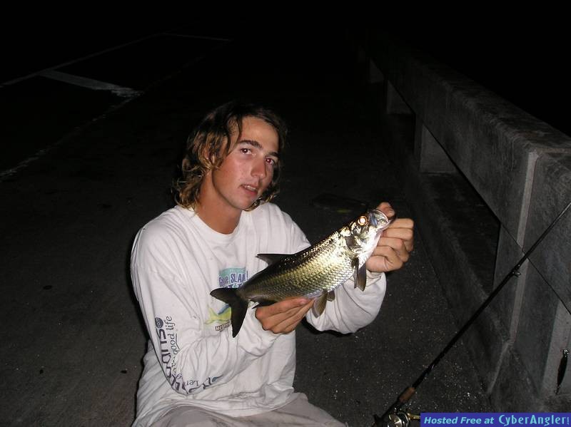 mini_tarpon