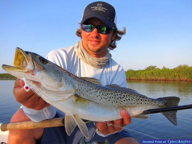 Crystal River Splendor