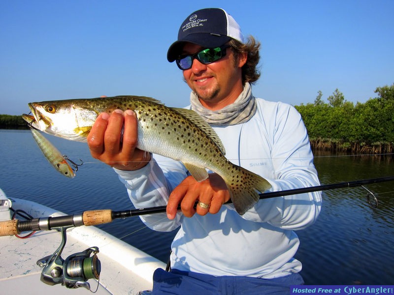 Crystal River Splendor