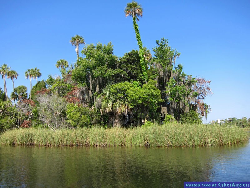 Crystal River Splendor