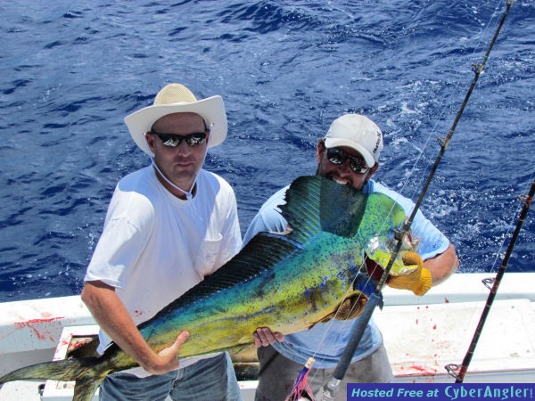 Checklick_big_dolphin_5-11