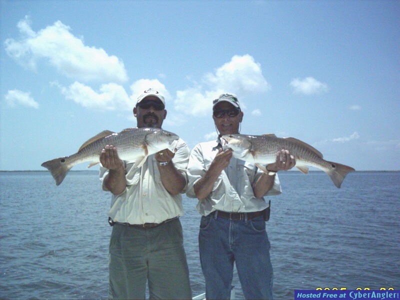 louisiana redfish