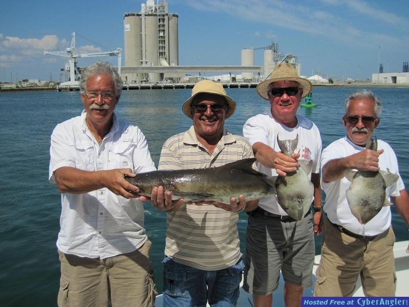 All in a days catch