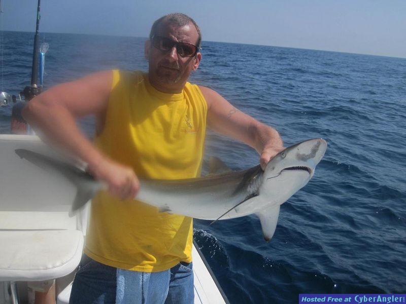 032311_shark