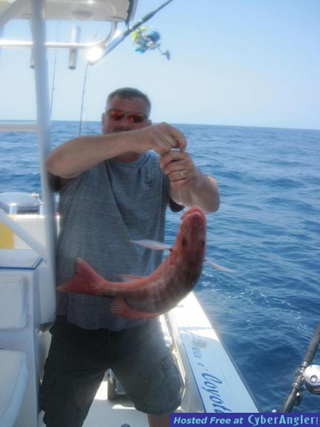 050311_So_Many_Snapper