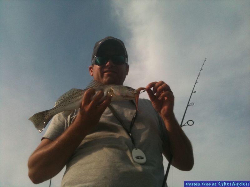 trout_516