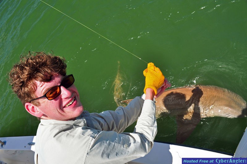 Click to Enlarge Photo