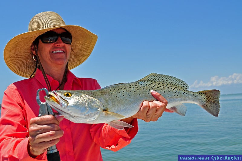 Click to Enlarge Photo