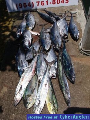 Click to Enlarge Photo