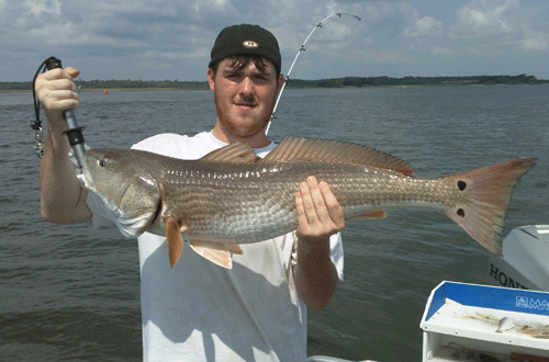 www.captdaves.com