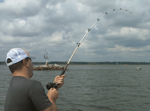 www.captdaves.com