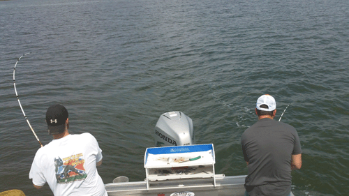 www.captdaves.com