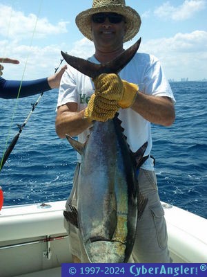 35# Blackfin Tuna