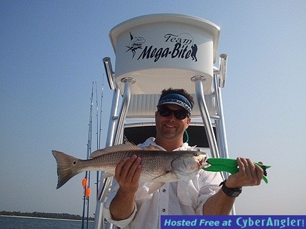 24&quot; Redfish