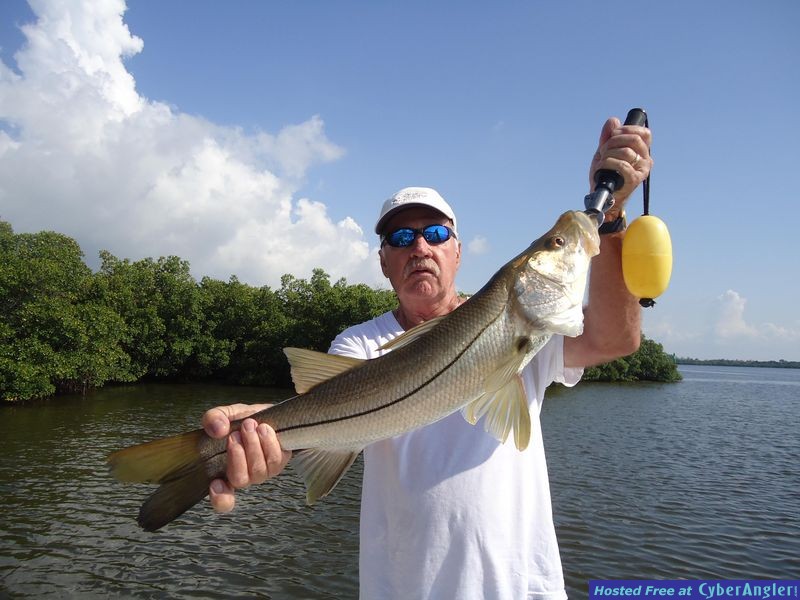 Snook_Tarpon_June_2011_011