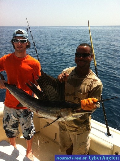 Fort lauderdale sailfishing