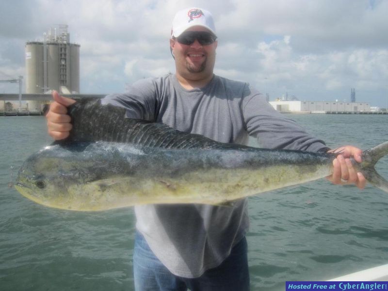 060911_Mahi1