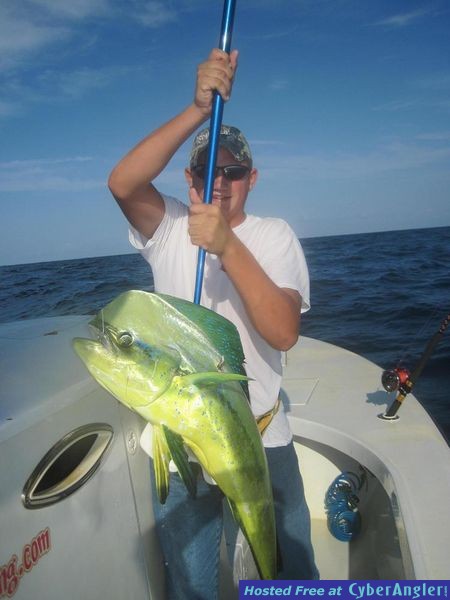 061111_Mahi_1