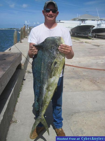 061111_Mahi_4