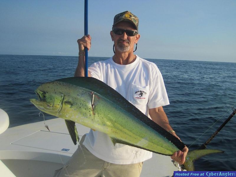 061211_first_Mahi