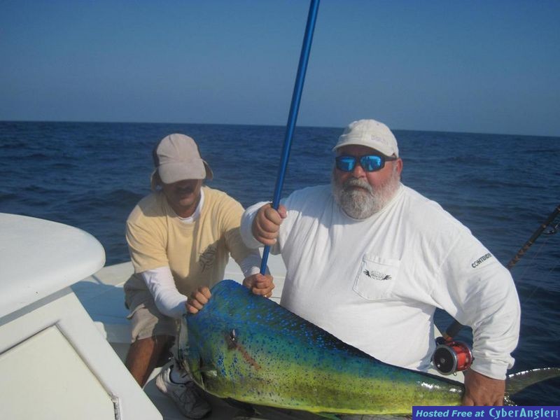 061311_Bull_Mahi
