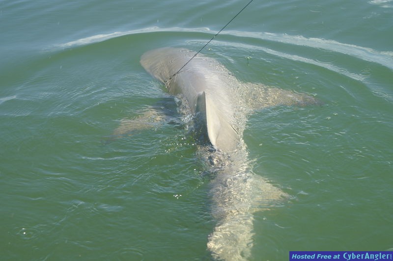 Ft_Myer_s_August_2010_465