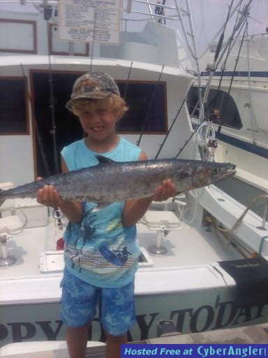 King Fish Amo