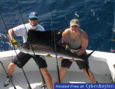 sailfish Islamorada