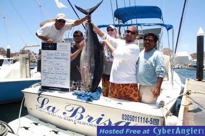 La Brisa 220lbs tuna