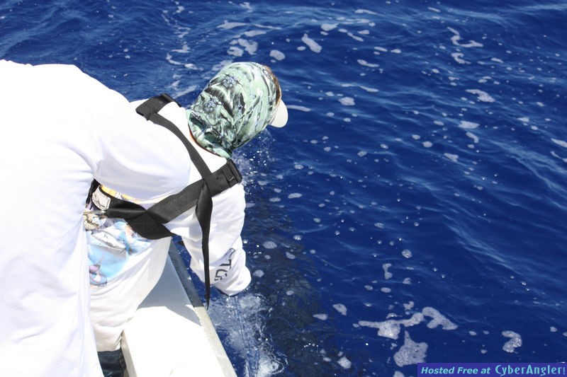 Sea Strike sportfishing Kona, Hawaii