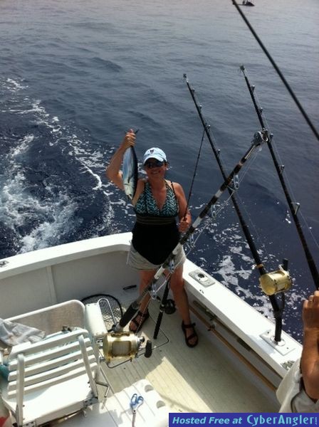 Catching bait